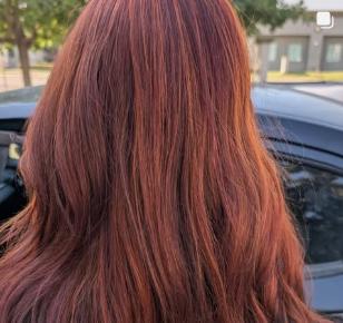Auburn Cinnamon Silk